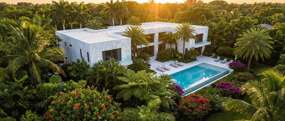 麻豆植物视频社区